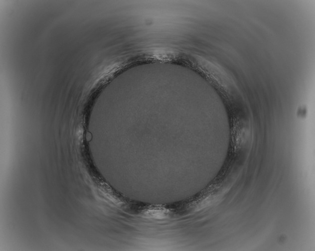 X0000097000595200802151416