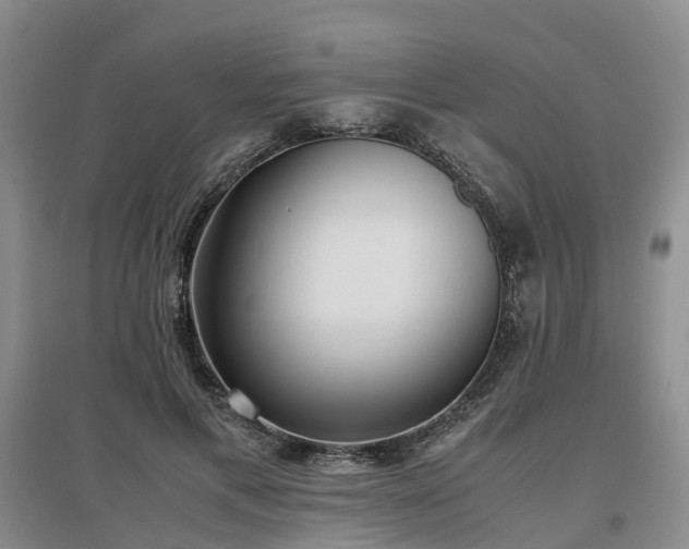 X0000097000597200802151416