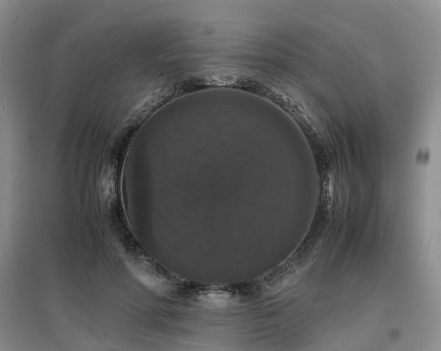 X0000097000598200802151416