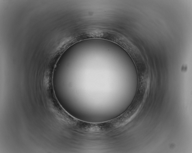 X0000097000600200802151416