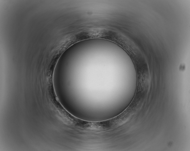X0000097000601200802151416
