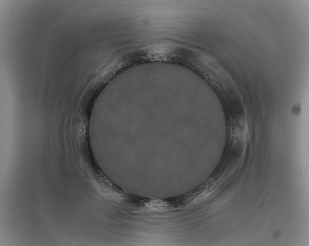 X0000097000603200802151416