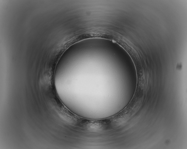 X0000097000604200802151416