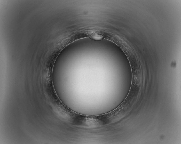 X0000097000605200802151416