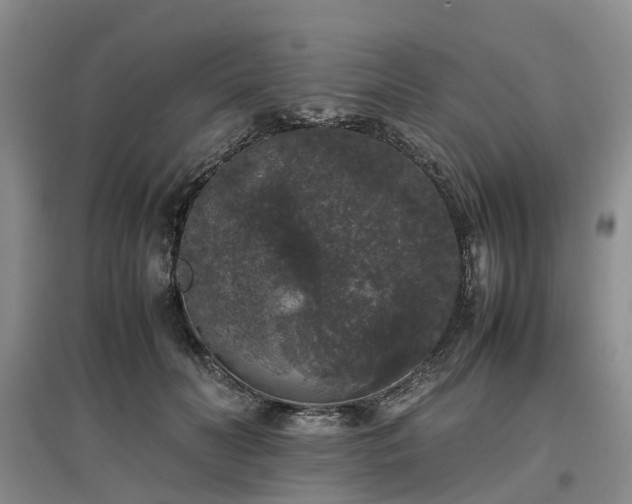 X0000097000606200802151416