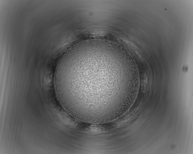 X0000097000608200802151416