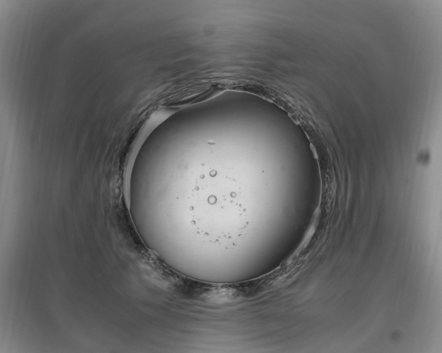 X0000097000609200802151416