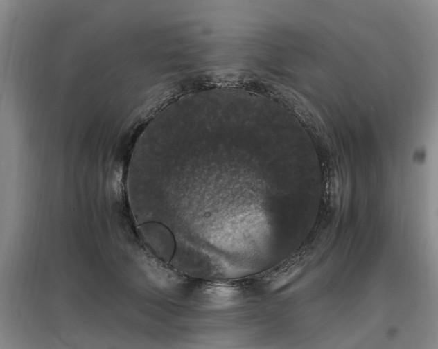 X0000097000610200802151416