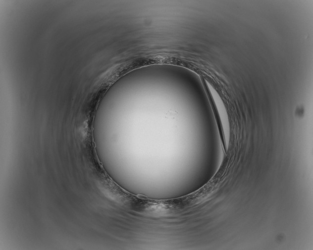 X0000097000611200802151416