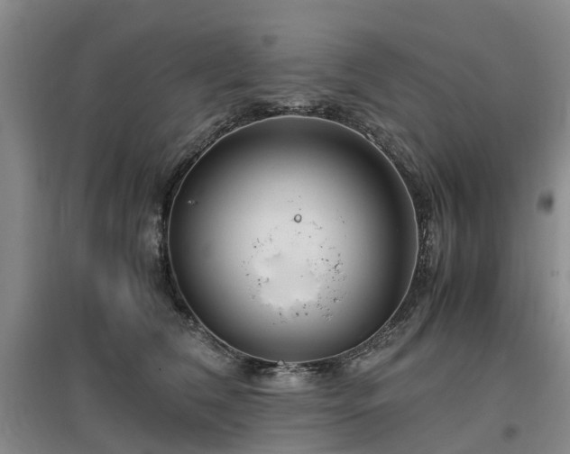 X0000097000612200802151416