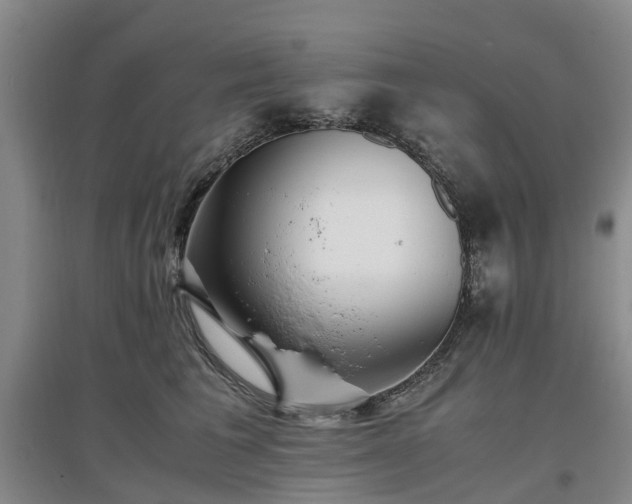 X0000097000613200802151416