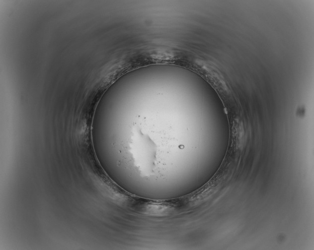 X0000097000614200802151416
