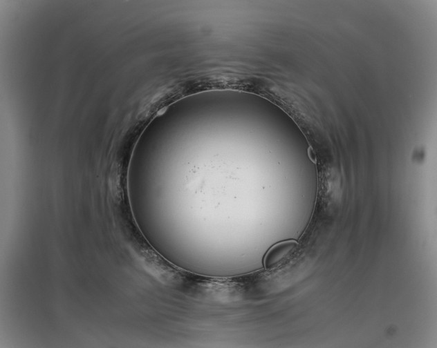 X0000097000615200802151416