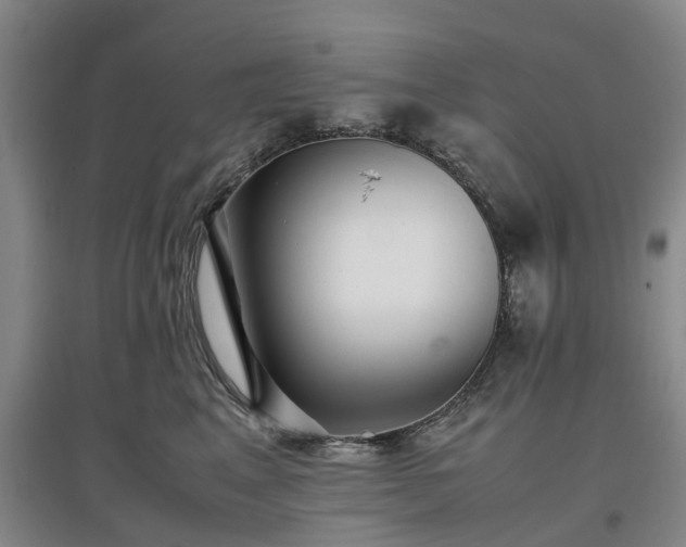 X0000097000617200802151416