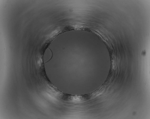 X0000097000618200802151415