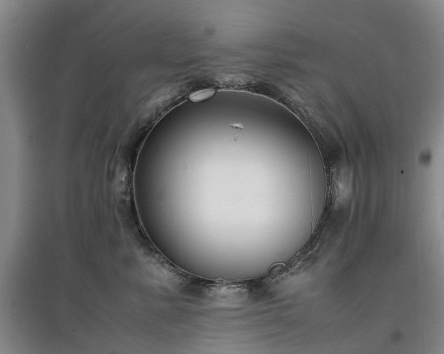 X0000097000619200802151415