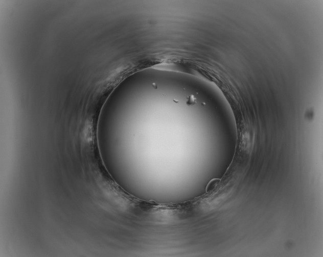 X0000097000620200802151415