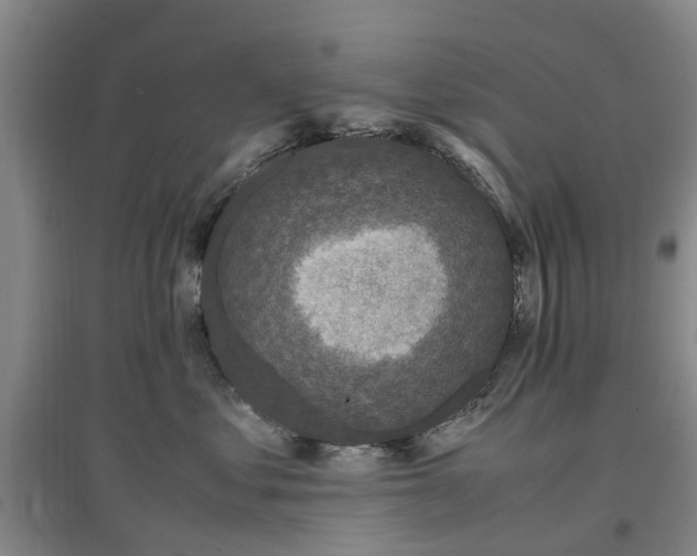 X0000097000621200802151415