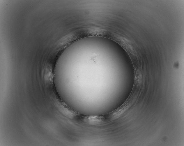 X0000097000622200802151415