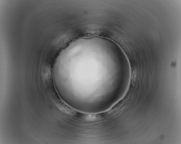 X0000097000623200802151415