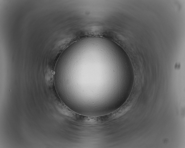 X0000097000624200802151415