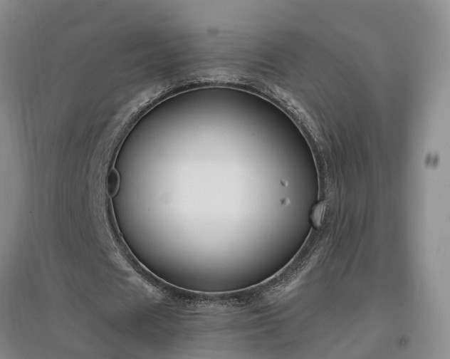 X0000097000625200802151415