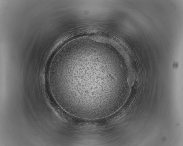 X0000097000626200802151415