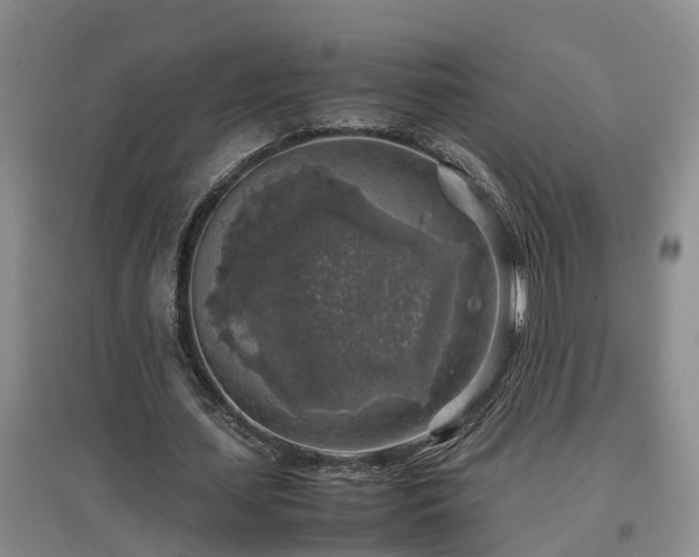 X0000097000627200802151415