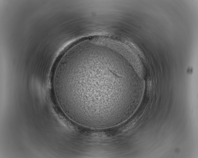 X0000097000628200802151415