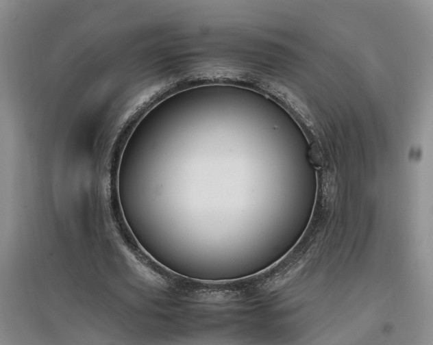 X0000097000629200802151415
