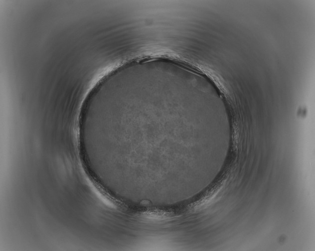 X0000097000630200802151415