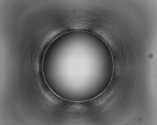 X0000097000631200802151415