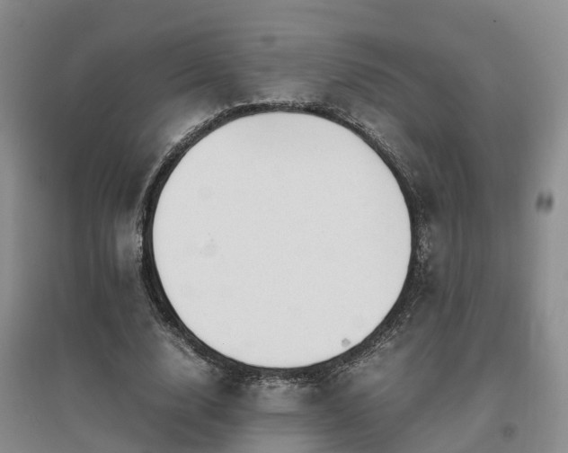 X0000097000632200802151415