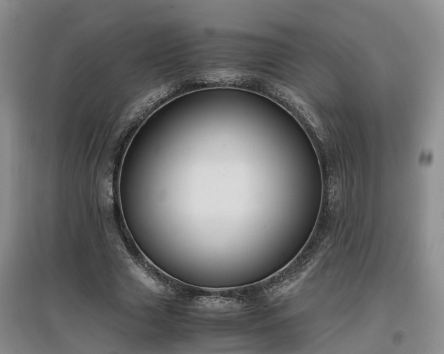 X0000097000633200802151415