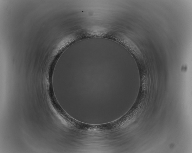 X0000097000634200802151415
