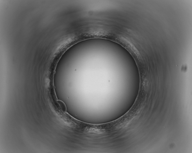 X0000097000635200802151415
