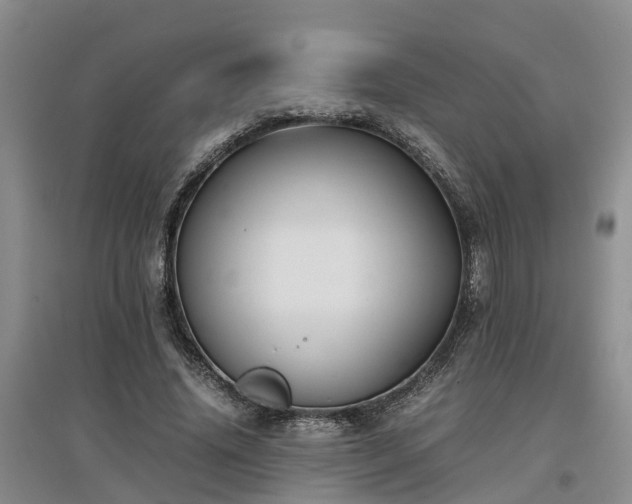 X0000097000636200802151415