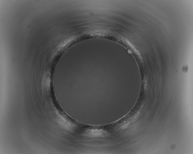 X0000097000637200802151415