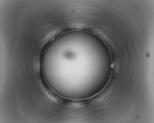 X0000097000638200802151415