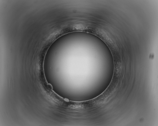 X0000097000639200802151415
