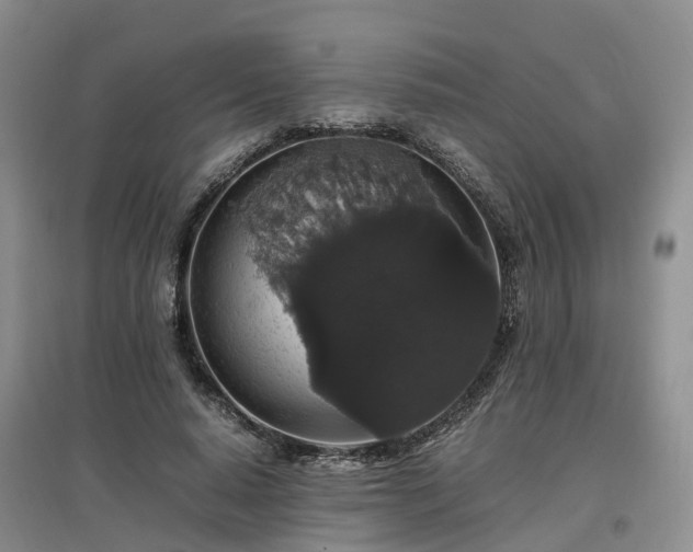 X0000097000640200802151415