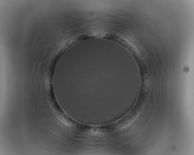 X0000097000641200802151415