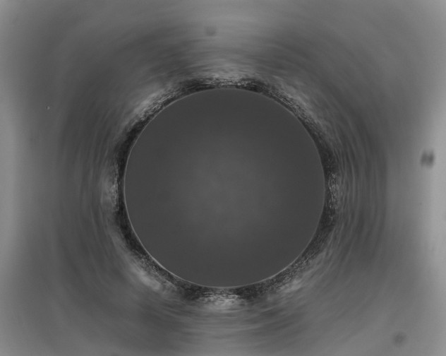 X0000097000642200802151415