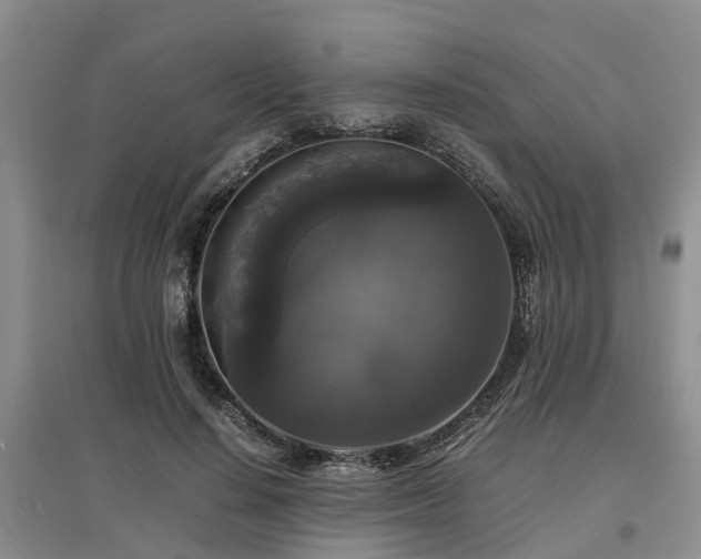 X0000097000644200802151415