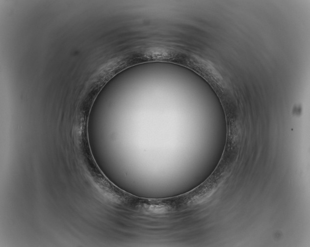 X0000097000645200802151415
