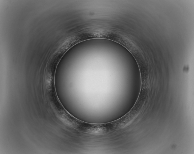 X0000097000646200802151415
