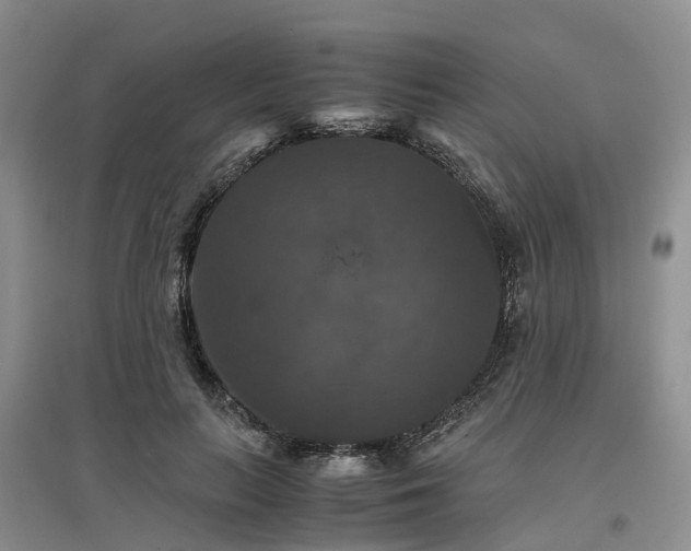 X0000097000647200802151415