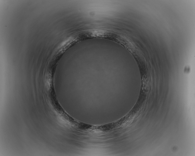 X0000097000648200802151415