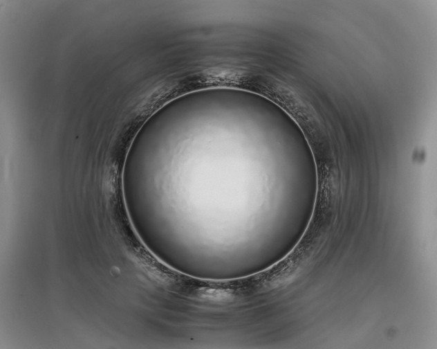 X0000097000649200802151415