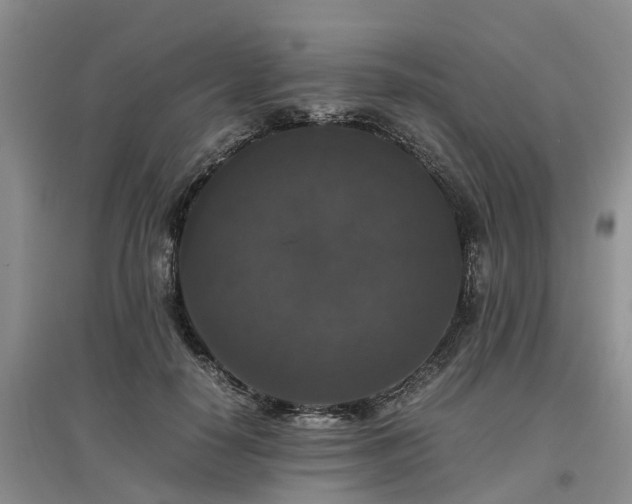 X0000097000650200802151415